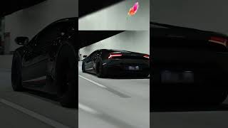 TWIN TURBO Lamborghini Takes Flight [upl. by Aenal]