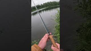 fisherman sportfish fishing sport fish angler trout flyfishing alaska troutfishing lake [upl. by Lauralee125]