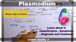 Plasmodium ll biology ll [upl. by Dugaid]