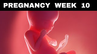 Pregnancy Week 10  Expert Tips for This Week [upl. by Aietal]