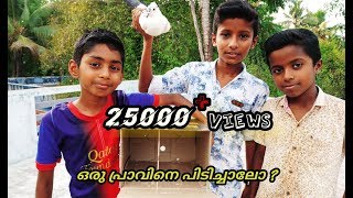 How to make a bird trap Malayalam ഒരു കിടിലൻ പ്രാവ് കെണി [upl. by Okoyik]