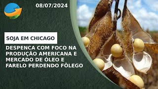 Soja em Chicago despenca com foco na produção americana e mercado de óleo e farelo perdendo fôlego [upl. by Starling]