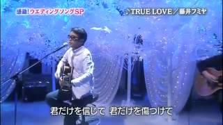 True Love Fuji Fumiya [upl. by Lakin648]