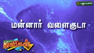 வியக்கவைக்கும் மன்னார் வளைகுடா   Puthuyugam Thuligal  PuthuyugamTV [upl. by Aleron202]