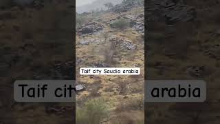 Taif city saudia arabia  Taifshortsfeed taif [upl. by Nwahsed55]