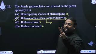 The female gametophytes are retained on the parent sporophyte in [upl. by Kistner647]