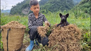 Full video 25 days harvesting vegetables and fruits to sell Gardening  Nams daily life [upl. by Munn491]