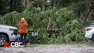 ‘Bomb cyclone’ leaves destruction in its wake [upl. by Atinod773]