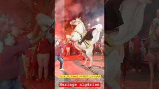 mariagealgerien mariaged اعراسجزائرية wedding follow [upl. by Pease546]