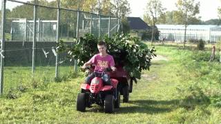 Quad Puch  ►Wood Chipping on RGO CV 14◄ [upl. by Sitrik]