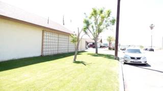 INDIO BORDER PATROL STATION Agent asks Are you High Desert 1st Amend Audit [upl. by Yrrad446]