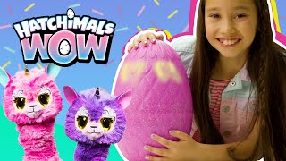 Hatchimals WOW – Unboxing amp How To [upl. by Cobbie482]