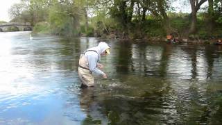 Fly Fishing on Irelands River Tar [upl. by Aierdna]