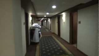 Dover Traction Scenic elevators  Galt House Hotel Suite Tower Louisville KY [upl. by Ange]