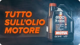 Qual è la differenza tra le tipologie tipi di olio motore Classificazione etichettatura  AUTODOC [upl. by Mclyman]