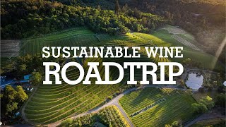 Discover the Ultimate Sustainable Wine Adventure in California [upl. by Remmos560]