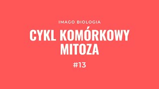 Cykl komórkowy i mitoza [upl. by Rurik705]