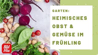 Saisonkalender  Heimisches Obst amp Gemüse im Frühling  BILD der FRAU [upl. by Tremml13]