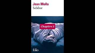 3  Sobibor  livre audio  Chapitre 3  Jean Molla  lecture et résumé [upl. by Zeke]