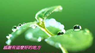 •♡❤小小的樹 慈濟歌選 兒童音樂專輯 Tzu Chi Songs [upl. by Ilrak543]