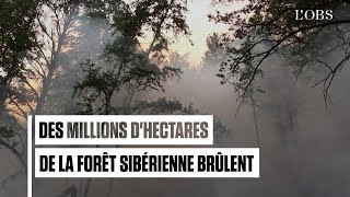 En Sibérie la forêt ravagée par des incendies depuis des semaines [upl. by Snowman861]