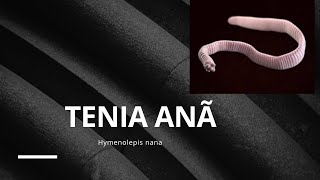 Tenia Anã Hymenolepis nana [upl. by Aileen]