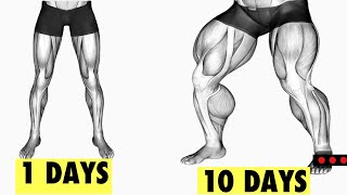 The Best Leg Exercises With Home  No Gym [upl. by Vivyan]