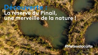 Découverte  la réserve du Pinail une merveille de la nature [upl. by Anohr659]