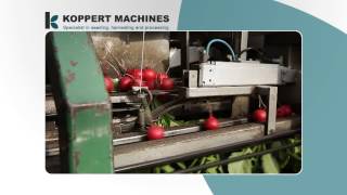 20140327 koppertmachines bunching machine [upl. by Ardnaik]