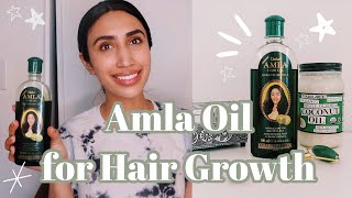 Amla Oil for Hair Growth  Dabur Amla Hair Oil [upl. by Aicirpac147]