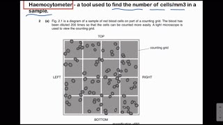 Haemocytometer  Practical skills  O amp A Level Biology [upl. by Acira]