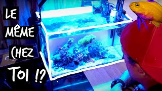 IL ÉTAIT VRAIMENT TEMPS DE VOUS PRESENTER CET AQUARIUM  TOOPET [upl. by Nahtanoy266]