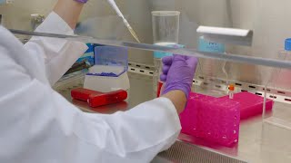 Tissue Culture Series 1 How to Thaw Cells with High Efficiency [upl. by Gant282]