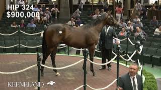 Hip 324 Not This Time  Believe in Charlie sells for 115 million at 2024 Keeneland September [upl. by Rovner]