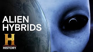 Ancient Aliens HumanAlien Hybrids Could Be Roaming Earth [upl. by Adiaz]