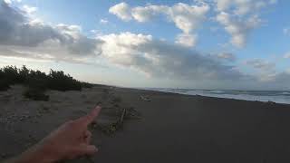 Nude Beach Review at Spiaggia Marina di Bibbona Toscana Italy [upl. by Olenka339]