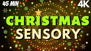 Autism Calming Music Christmas Lights Deep Sleep Relaxation [upl. by Llemert994]