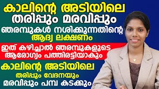 ഇത് കഴിച്ചാൽ ഞരമ്പുകളുടെ ആരോഗ്യം പത്തിരട്ടി ആകും  Tharippum Maravippum Maran  Dr Tinu S [upl. by Alleirbag]