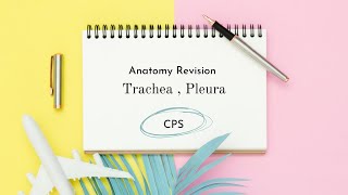 Trachea amp Pleura Revision [upl. by Adihaj123]