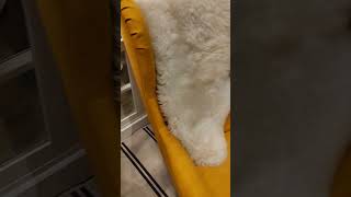 IKEA Christmas home decor Ektorp sofacover refurnishing Wingback chair Strandmon chair cover [upl. by Adaven332]