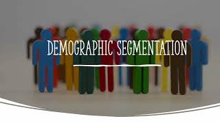 Demographic Segmentation UrduHindi [upl. by Thayer701]