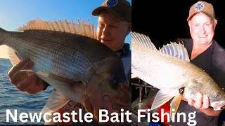 Bait fishing Newcastle Jewfish and Snapper [upl. by Coniah]