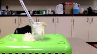 Hydrogen Peroxide and Yeast experiment [upl. by Cappello]