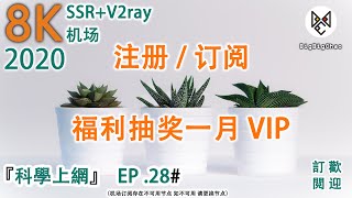 科学上网  8K机场 ssr v2ray节点 订阅注册 频道限时抽VIP 2020免费翻墙方法 翻墙vpn（2020）EP  28（抽奖已结束） [upl. by Edny]