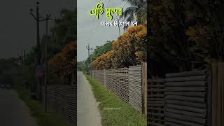 Assamese song assamesesong assamesenewsong assamesereels explore assam fyp assameseshortvideo [upl. by Drogin735]