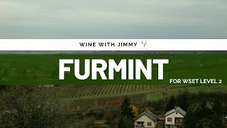 Grape Varieties  Furmint Intermediate Version ideal for WSET Level 2 Wine [upl. by Karlise]