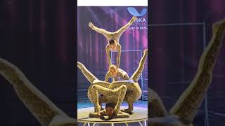 Acrobatic Show  Circus Video  Gymnastics Video [upl. by Annawaj]