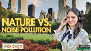 How Does Noise Pollution Affect Wildlife [upl. by Maure]