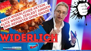 Nach widerlicher Aktion Alice Weidel zerlegt jungen ÖRR Reporter ohne Gnade [upl. by Iahk]