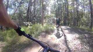 Testing Terrain at the Wooroi mountain bike trails [upl. by Aroon]